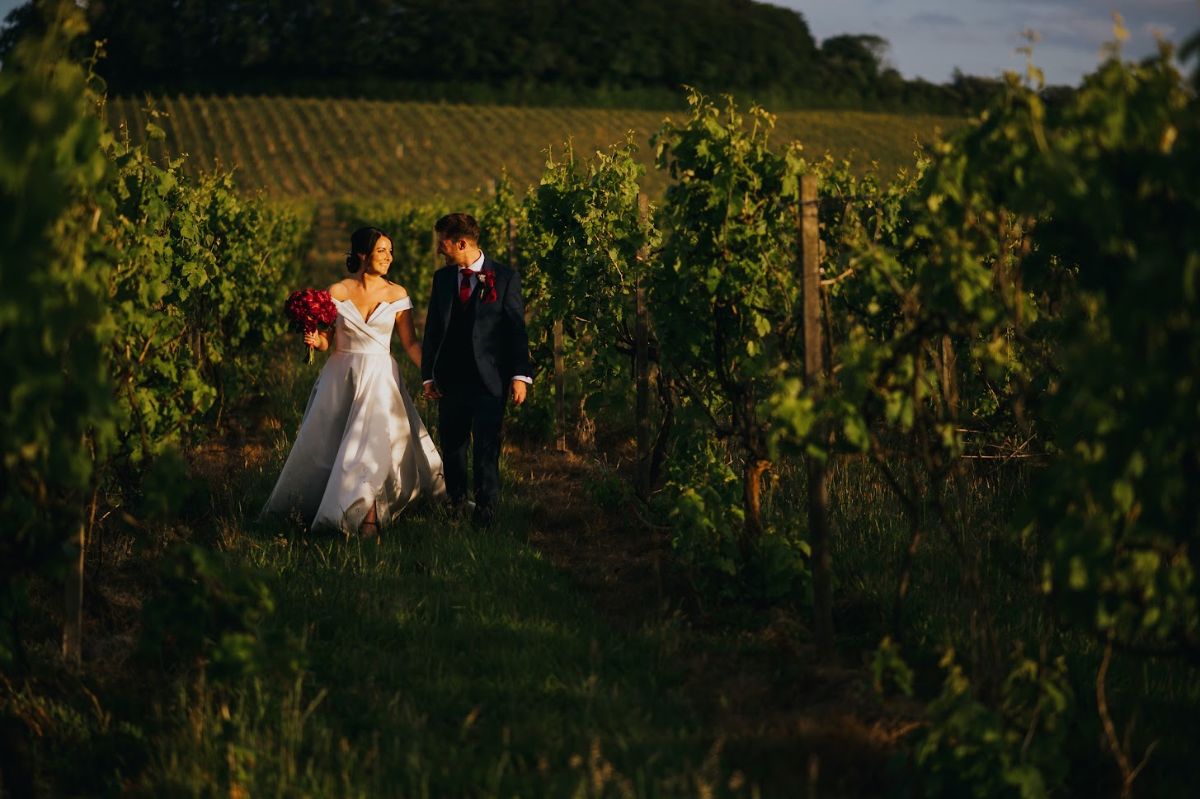 Gallery Item 12 for Denbies Wine Estate