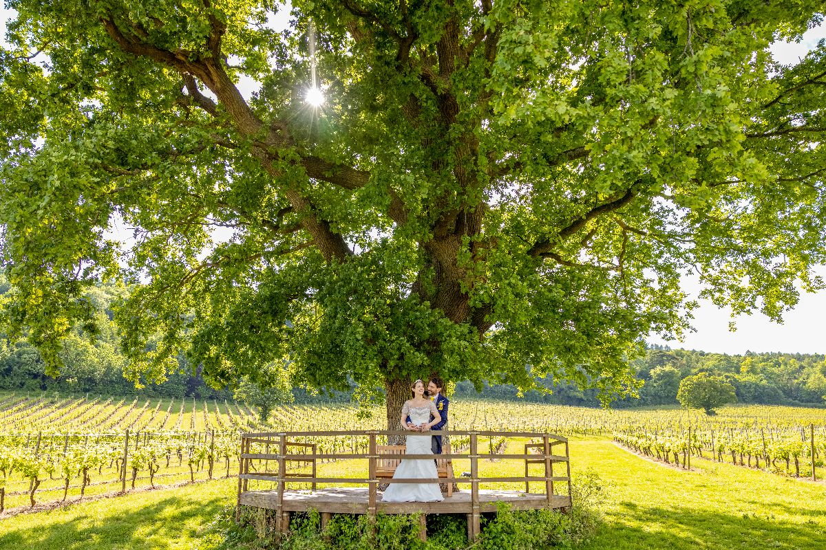 Gallery Item 8 for Denbies Wine Estate