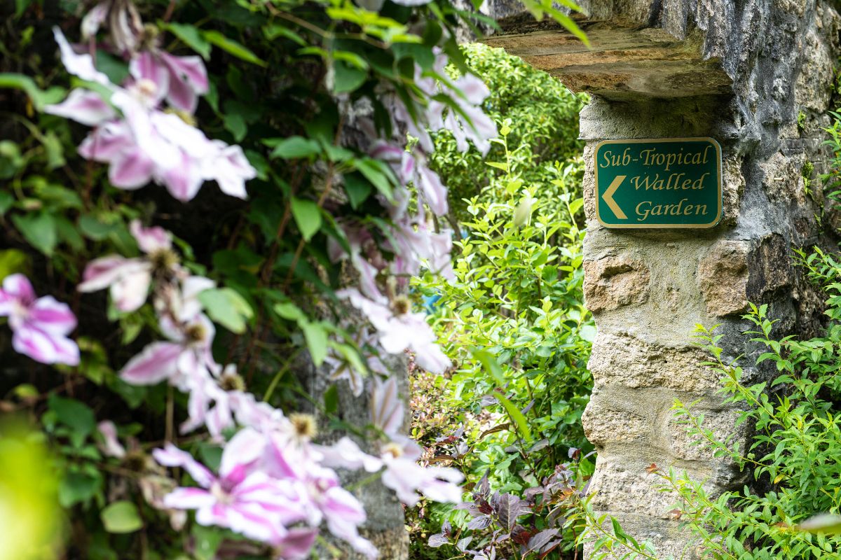 Gallery Item 10 for Tregenna Castle Hotel