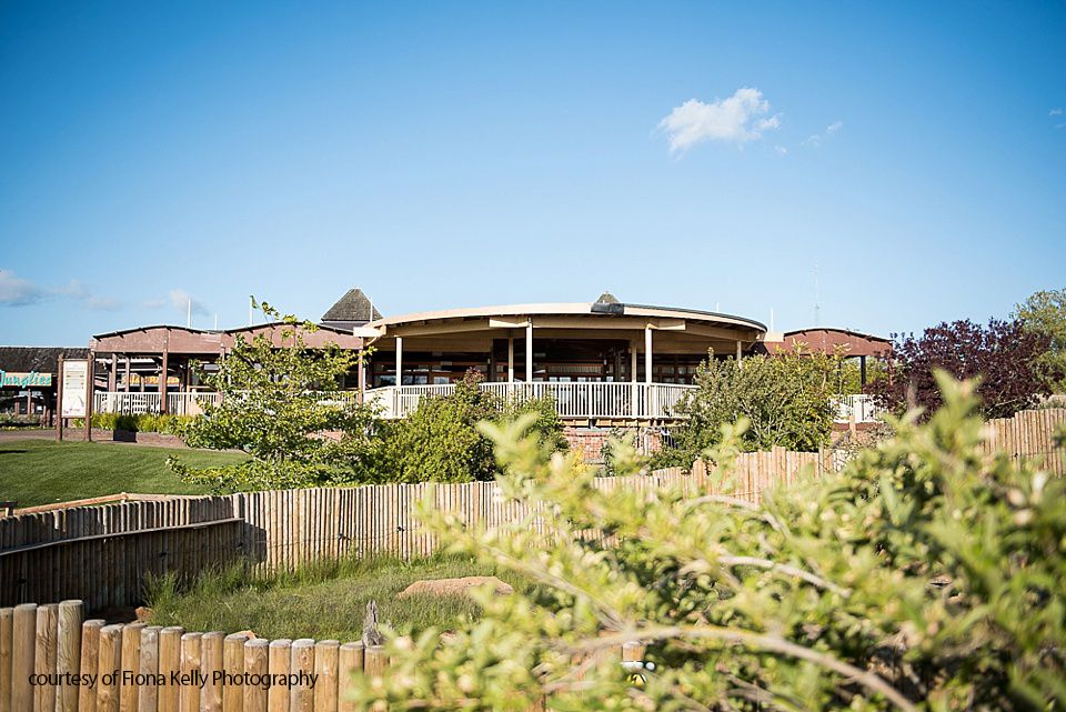 Gallery Item 6 for The Safari Lodge at Woburn Safari Park