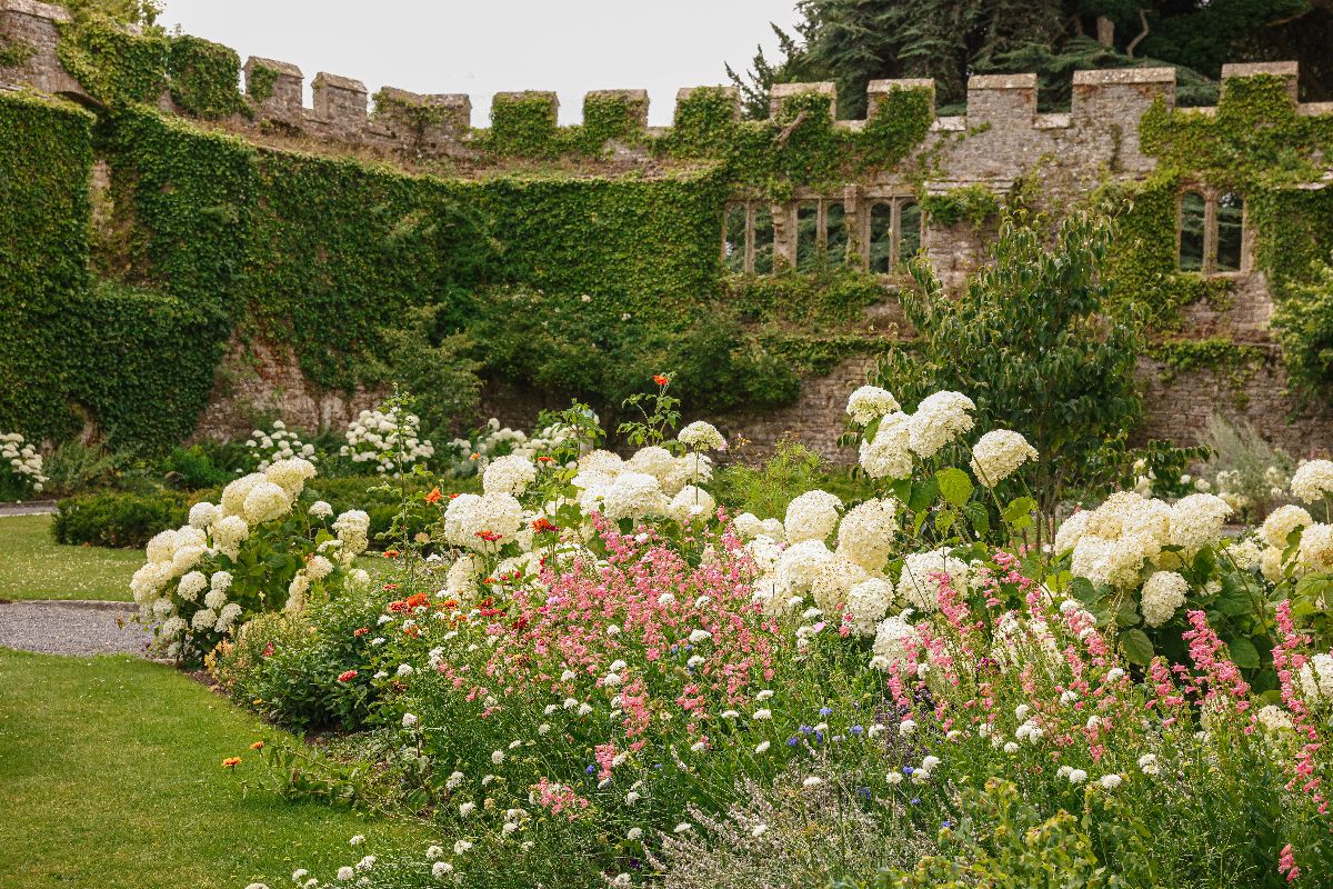 Gallery Item 5 for Thornbury Castle