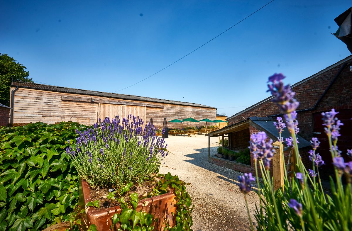 Gallery Item 11 for Stock Farm Wedding and Events Barn