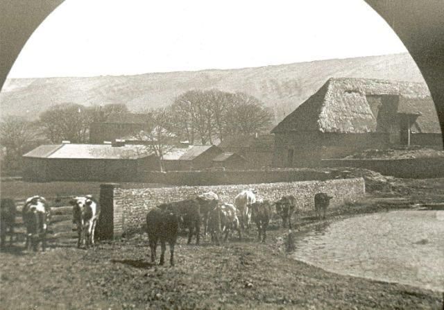 Gallery Item 7 for Farthingloe Barn