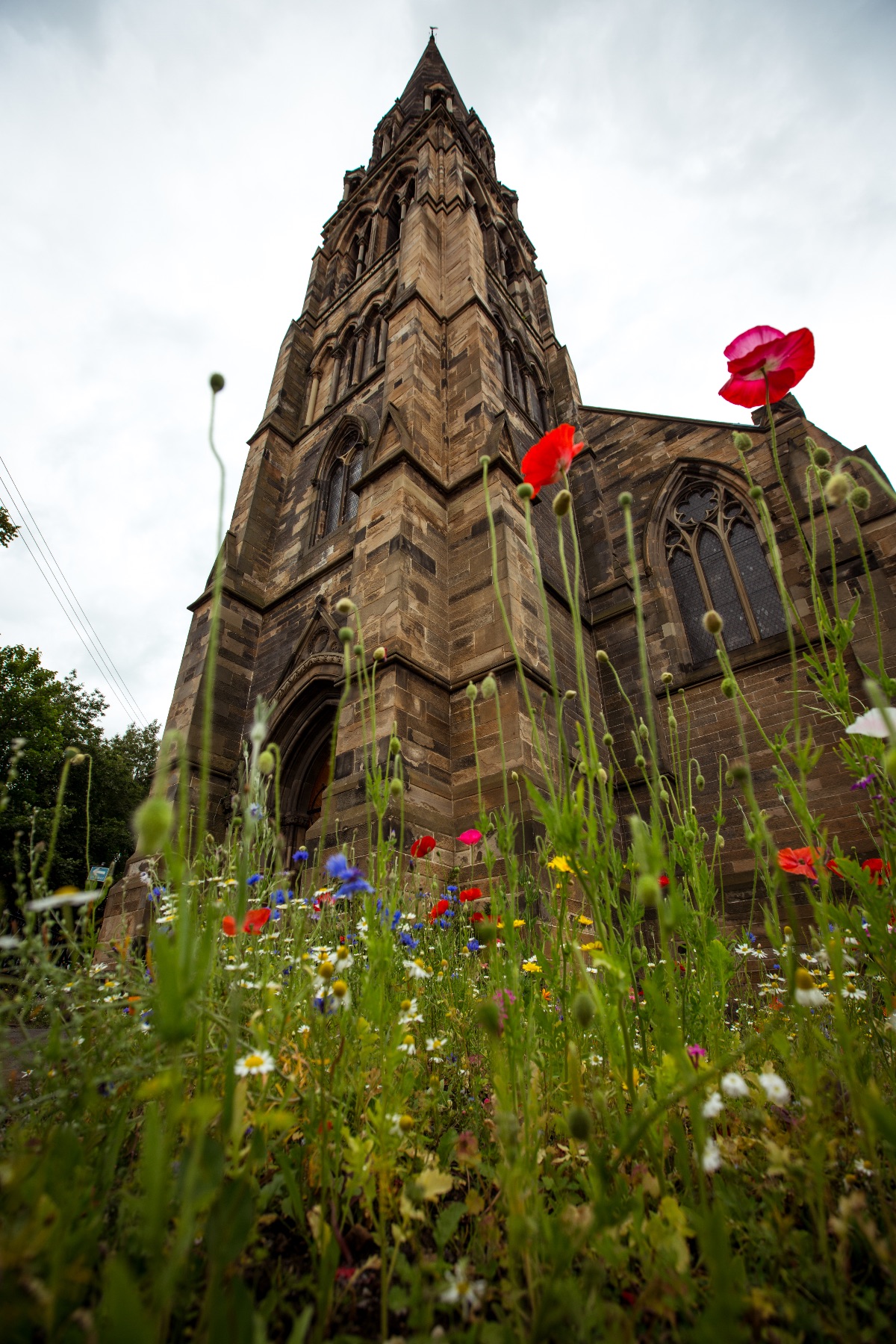 Gallery Item 11 for Cottiers