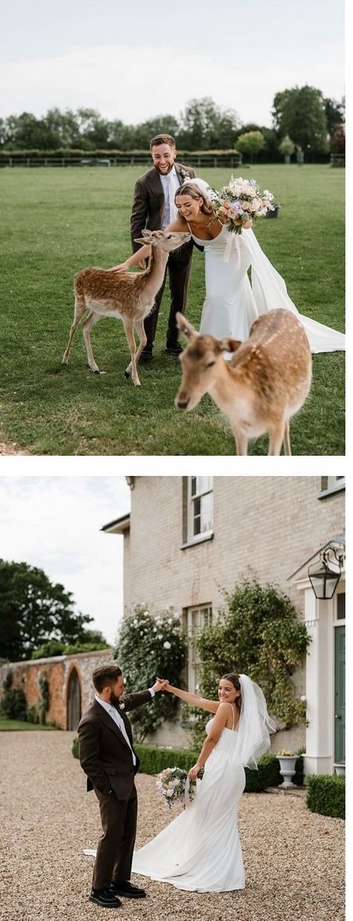 Gallery Item 8 for Hill Farm Massingham