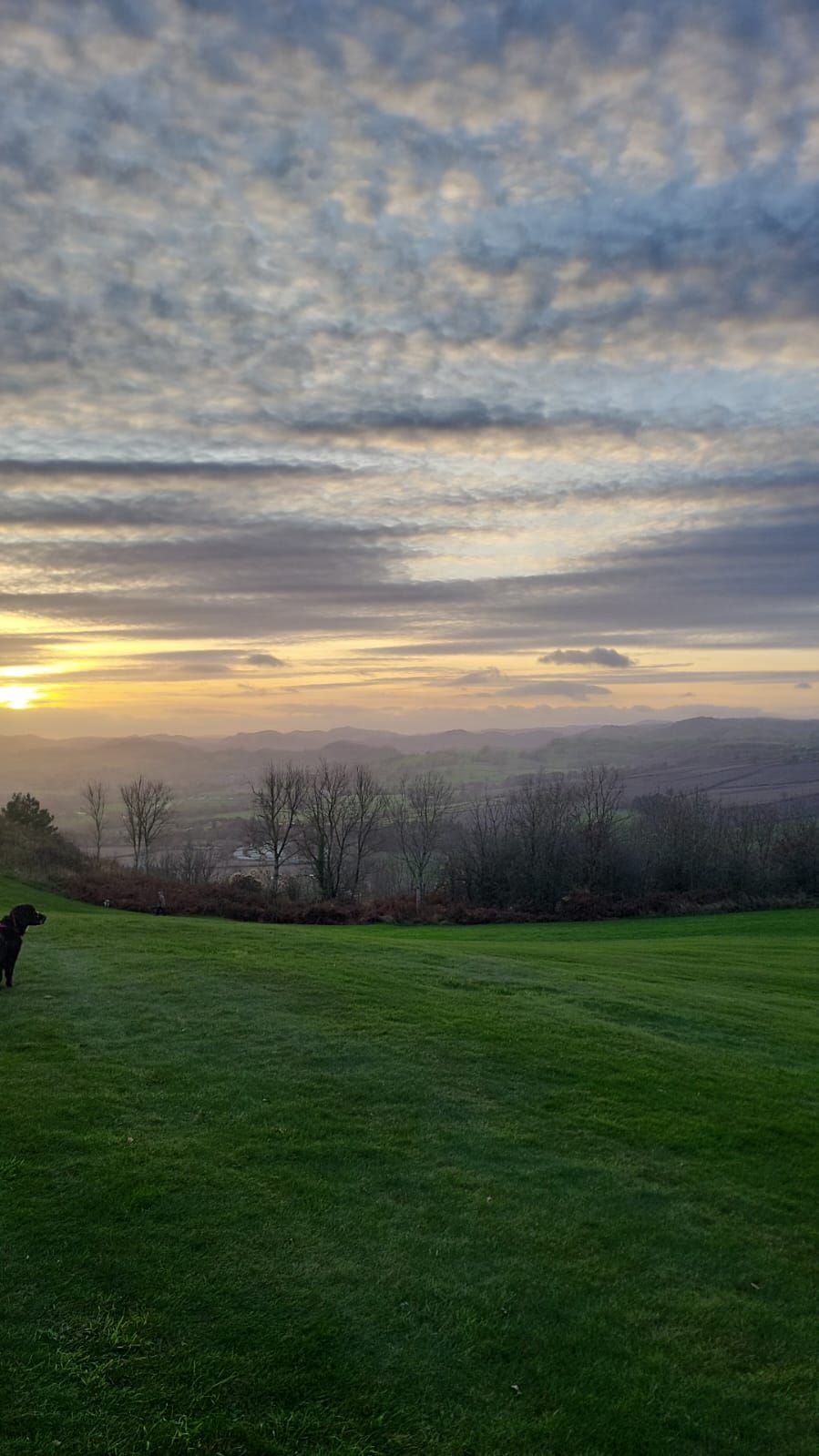 Gallery Item 9 for LLANYMYNECH GOLF CLUB