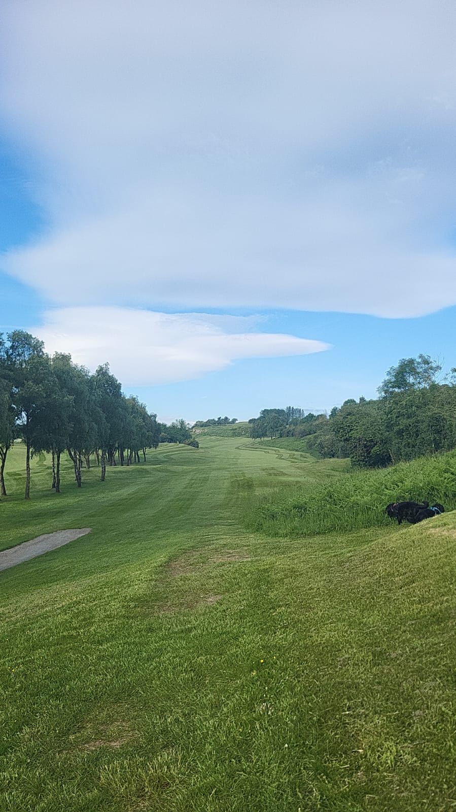 Gallery Item 11 for LLANYMYNECH GOLF CLUB
