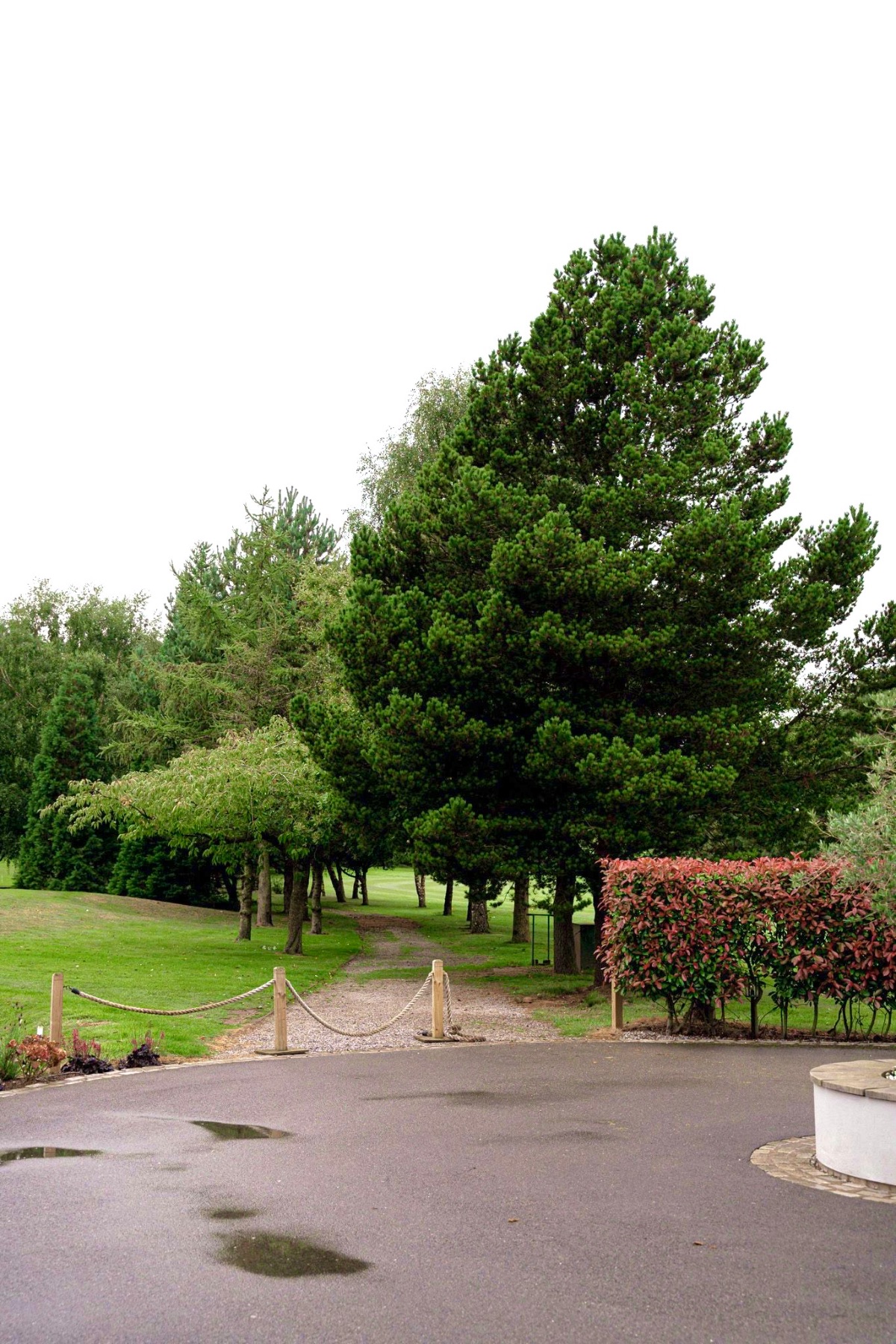 Gallery Item 10 for Room One Hartford Golf Club